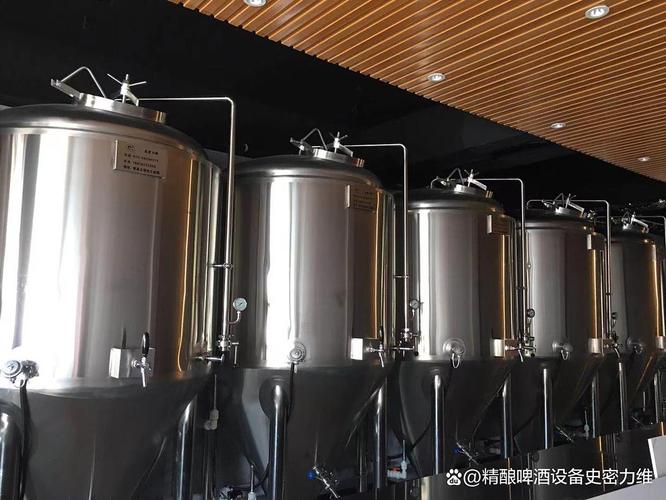 蠡县开精酿吧原浆自酿啤酒设备多少钱一套？家用商用怎么选不踩坑